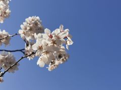 -羊山湖公园