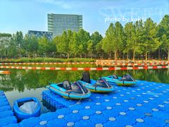 -大兴滨河森林公园