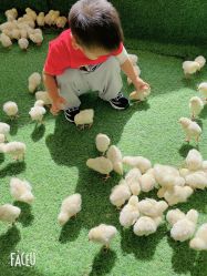 -萌宠亲子动物乐园(槐房万达店)