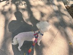 -苏州河梦清园环保主题公园