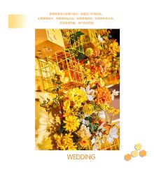 -HELLO你好婚礼婚庆策划