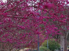 -东华大学(松江校区)
