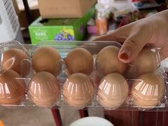 -马陆小张葡萄园农家乐