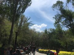 -水磨沟公园
