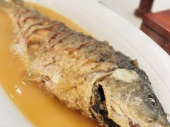 红烧黄河大鲤鱼-阿庄新豫菜(航海东路店)