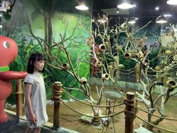 -Zoolung Zoolung动物主题公园(海信广场店)