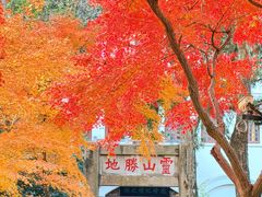 -狼山风景名胜区