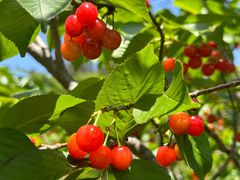 -崂山九水游览区