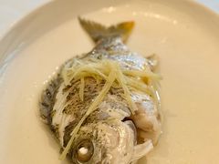 -花城苑广府菜(侨鑫店)