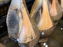 -吴记富苑(朝阳店)