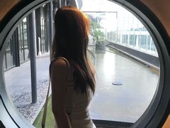 -Hi City·城市之巅