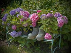 -上海共青森林公园