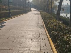 -西安汉城湖景区