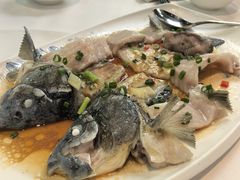 一鱼两食-顺德渔村·岭南一号