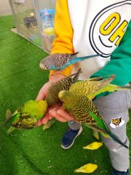 -萌宠亲子动物乐园(槐房万达店)