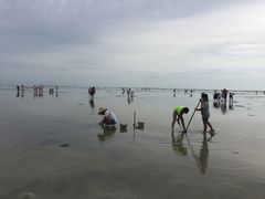 -北海金海湾红树林生态旅游区