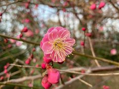 -上海吴淞炮台湾国家湿地公园