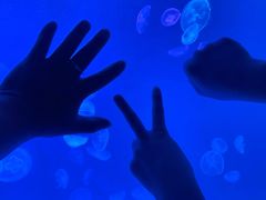 -多彩贵州城极地海洋世界