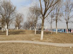 -天津东丽湖风景区