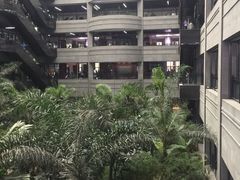 -黑龙江中医药大学附属第一医院