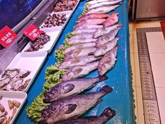 -今鲜源酒店·海鲜锅贴青岛菜(新湛路店)