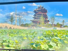 -阳澄湖半岛旅游度假区