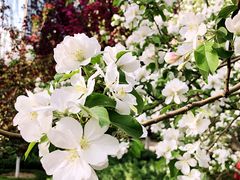 -元大都城垣遗址公园