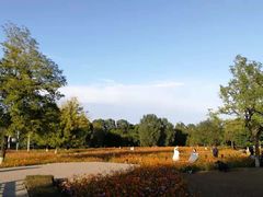 -奥林匹克森林公园北园-停车场