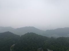 -大金鹰园
