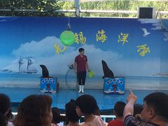 -无锡海洋馆