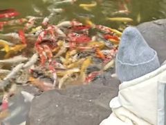-镇江中国醋文化博物馆