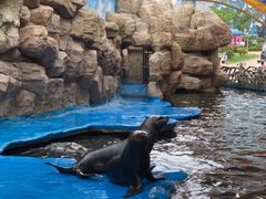 -华夏文旅海洋公园