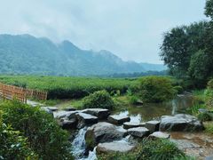 -中国茶叶博物馆(双峰馆区)