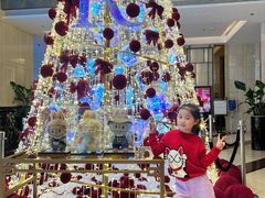 -深圳彭年万丽酒店