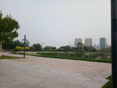 -天津津利华酒店