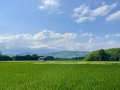 -良渚古城遗址公园