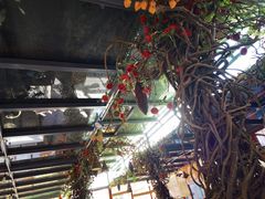 -有喜胶东小馆(超极合生汇太申祥和店)