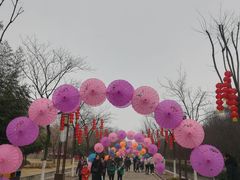 -洛阳市隋唐城遗址植物园