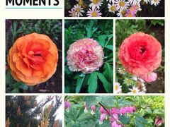 iphone_upload_pic-景山公园