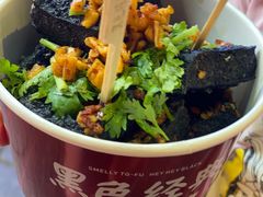 -黑色经典臭豆腐·长沙鲜食商店(坡子街店)
