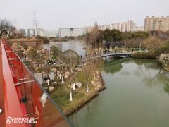 -青枫公园