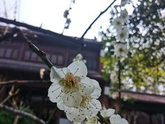 -钱王祠
