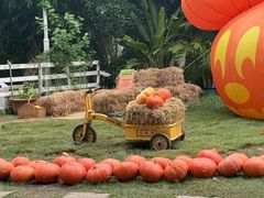 -HERRE·FARM 赫尔露营农场·团建聚会包场