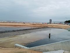 -日照海滨国家森林公园