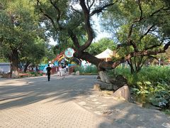 -北陵公园