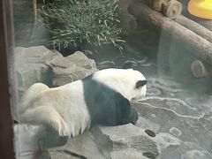 -济南野生动物世界