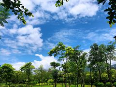 -飞来湖湿地公园