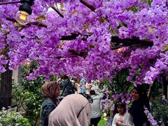 -The Grounds of Alexandria
