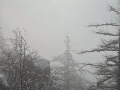 -崂山巨峰游览区