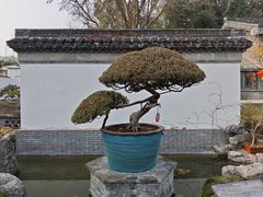 -水绘园